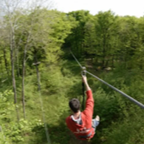 JOURNAL DU VENDREDI 12 MARS ( MIDI )